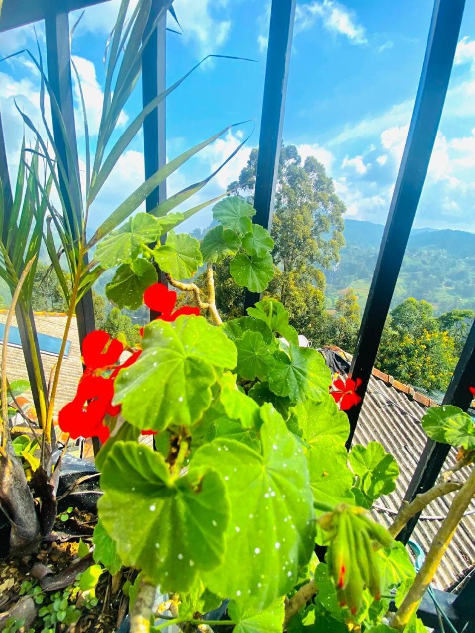 Pleasant Peak Bed and Breakfast Ella Εξωτερικό φωτογραφία