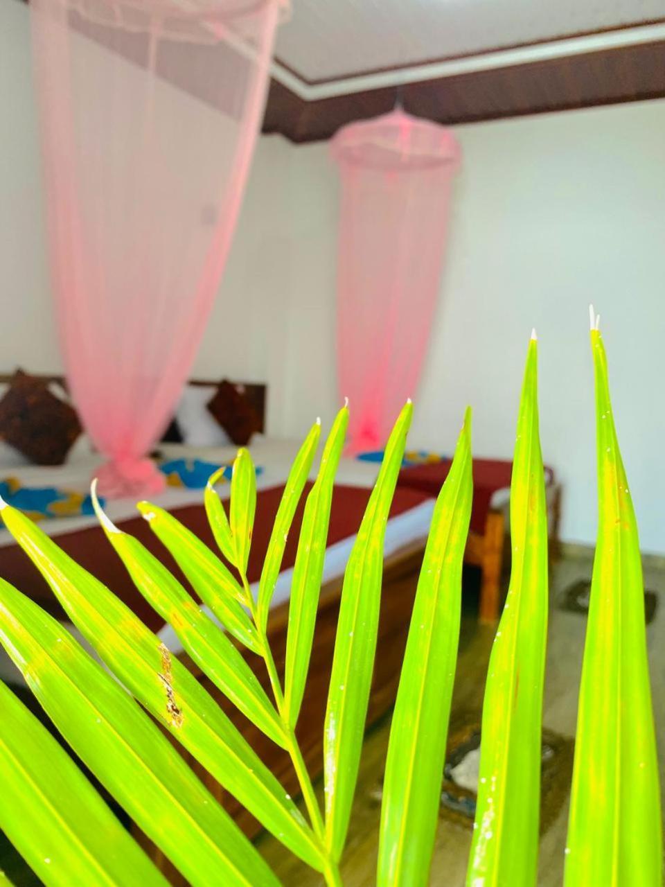 Pleasant Peak Bed and Breakfast Ella Εξωτερικό φωτογραφία